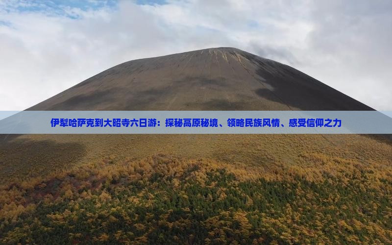 伊犁哈萨克到大昭寺六日游：探秘高原秘境、领略民族风情、感受信仰之力