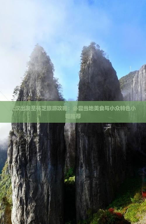 武汉出发至林芝旅游攻略：必尝当地美食与小众特色小吃推荐