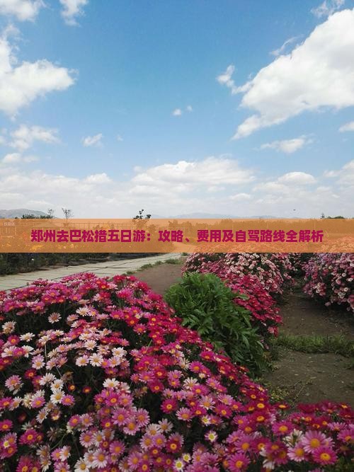 郑州去巴松措五日游：攻略、费用及自驾路线全解析