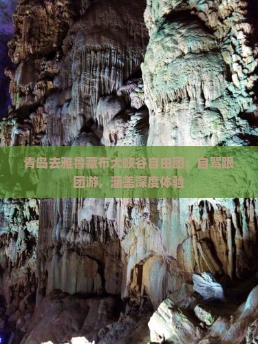 青岛去雅鲁藏布大峡谷自由团：自驾跟团游，涵盖深度体验