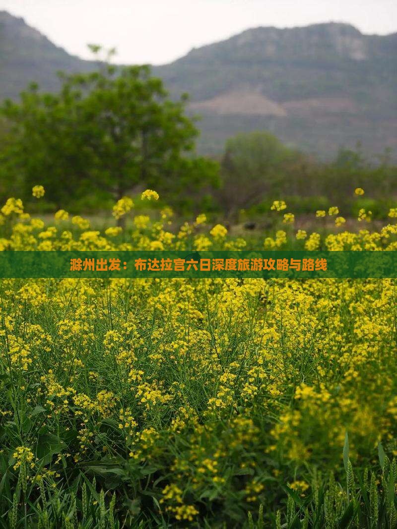 滁州出发：布达拉宫六日深度旅游攻略与路线