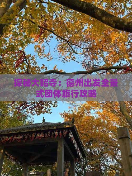 探秘大昭寺：德州出发全景式团体旅行攻略