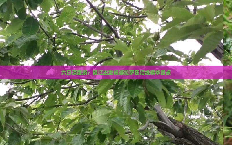 六日深度游：镇江出发畅游拉萨及沿线精华景点