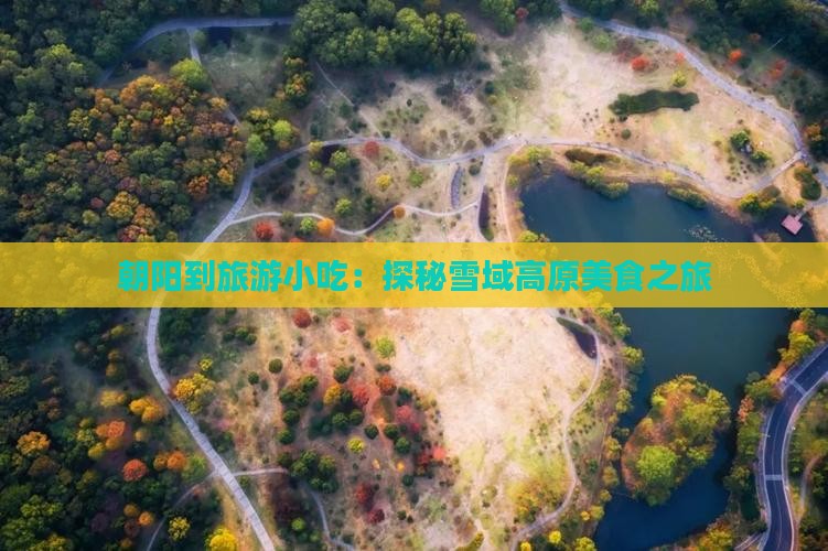 朝阳到旅游小吃：探秘雪域高原美食之旅