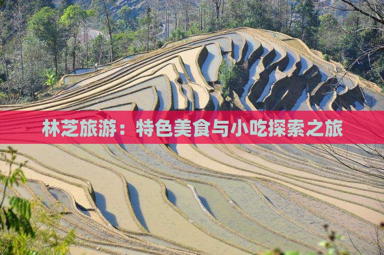 林芝旅游：特色美食与小吃探索之旅