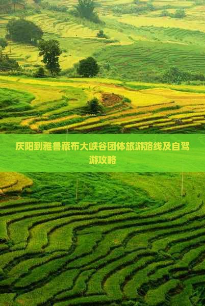 庆阳到雅鲁藏布大峡谷团体旅游路线及自驾游攻略