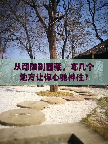 鄢陵县到西藏必去地
