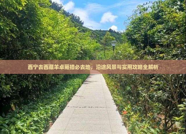 西宁去西藏羊卓雍措必去地