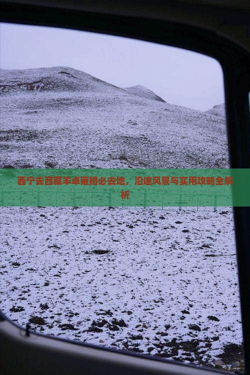 西宁去西藏羊卓雍措必去地