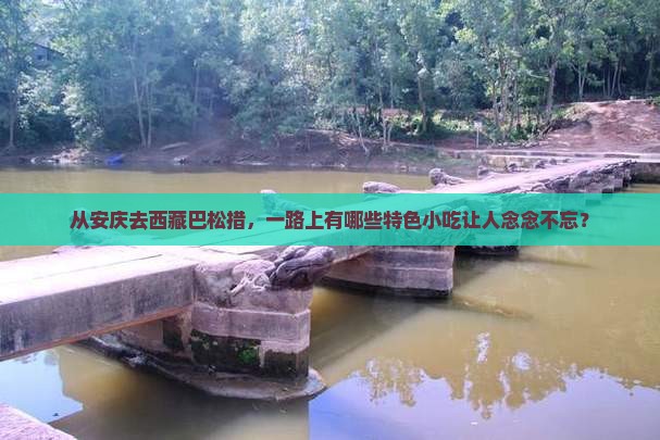 安庆到西藏巴松措旅游小吃