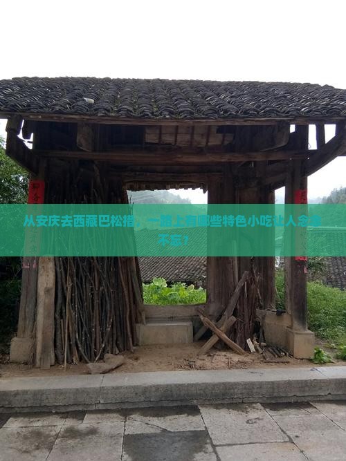 安庆到西藏巴松措旅游小吃