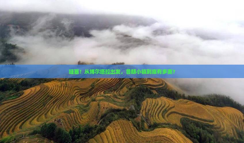 博尔塔拉到西藏鲁朗小镇旅游