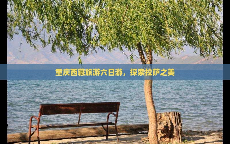 重庆到西藏拉萨六日游