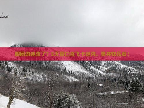 营口去西藏卡定沟五日游