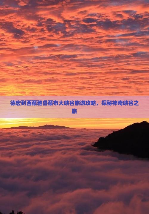 德宏去西藏雅鲁藏布大峡谷个人游