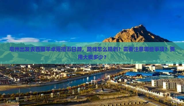 亳州去西藏羊卓雍措五日游