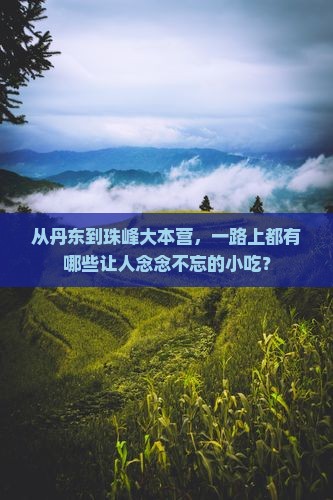 丹东到西藏珠峰大本营旅游小吃
