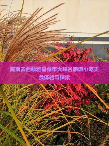 陇南去西藏雅鲁藏布大峡谷旅游小吃