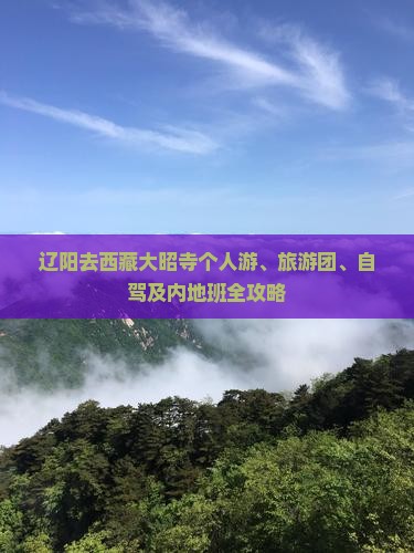 辽阳去西藏大昭寺个人游