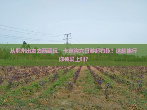 鄂州去西藏卡定沟六日游