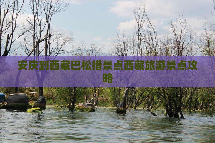 安庆到西藏巴松措景点