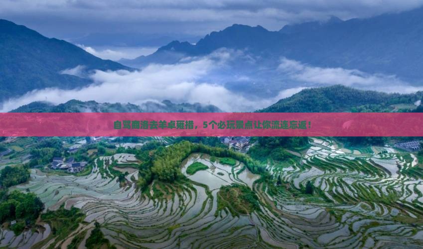 商洛到西藏羊卓雍措哪里玩