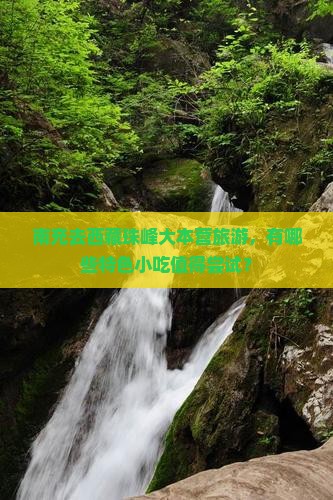 南充去西藏珠峰大本营旅游小吃