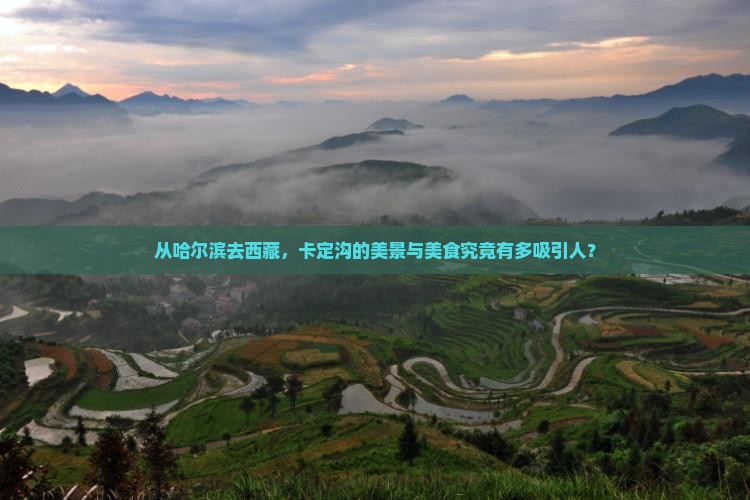 哈尔滨到西藏卡定沟旅游小吃
