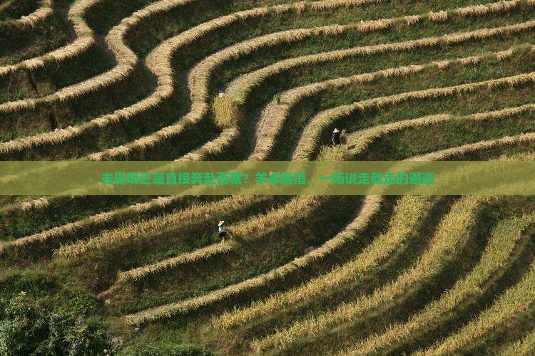昆明去西藏羊卓雍措旅游