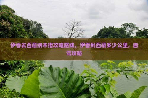 伊春去西藏纳木措攻略