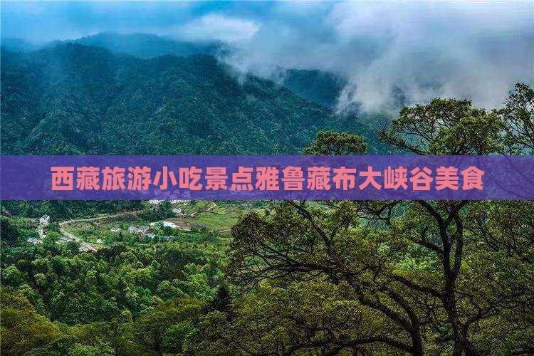 襄樊去西藏雅鲁藏布大峡谷旅游小吃