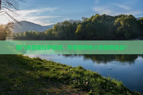 厦门去西藏拉萨旅游小吃