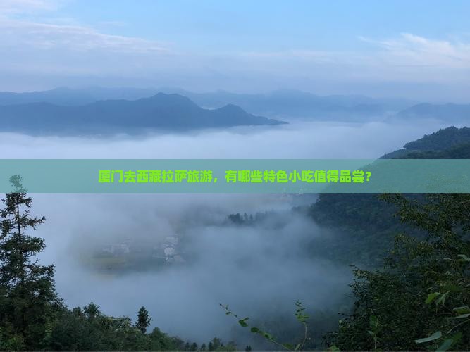 厦门去西藏拉萨旅游小吃