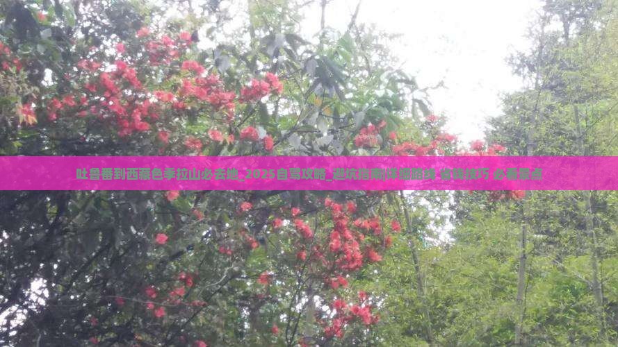 吐鲁番到西藏色季拉山必去地