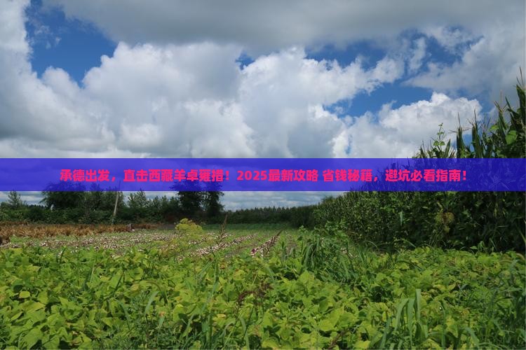 承德到西藏羊卓雍措必去地