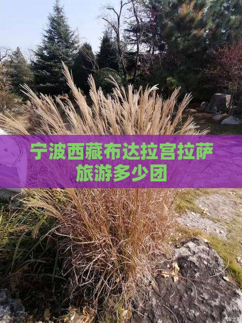 宁波去西藏布达拉宫自由团
