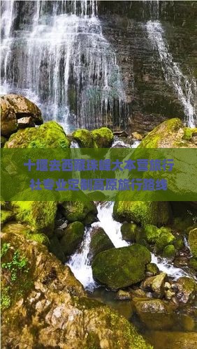 十堰去西藏珠峰大本营旅行社