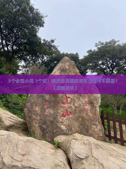 迪庆去西藏旅游小吃