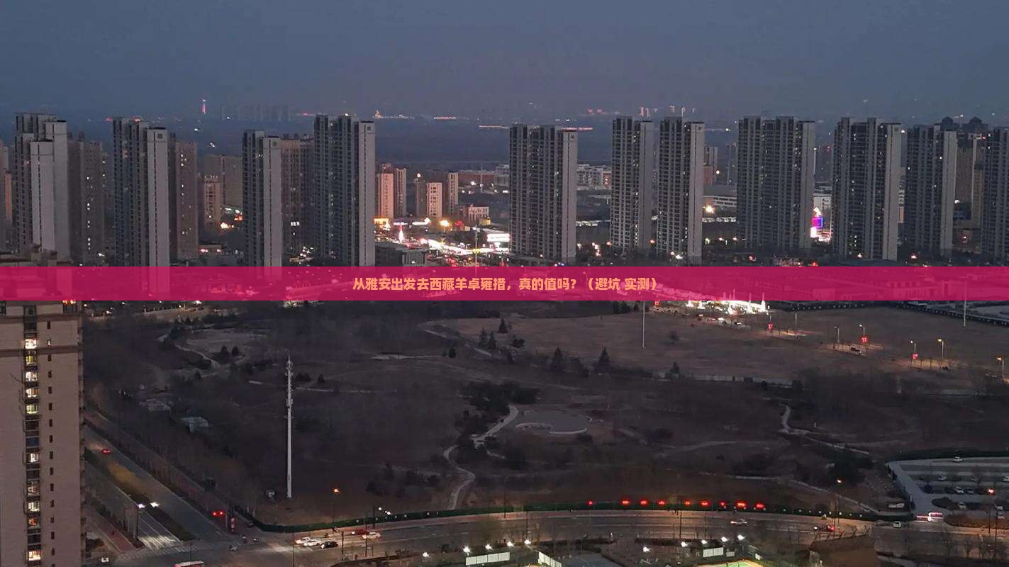 雅安到西藏羊卓雍措景点