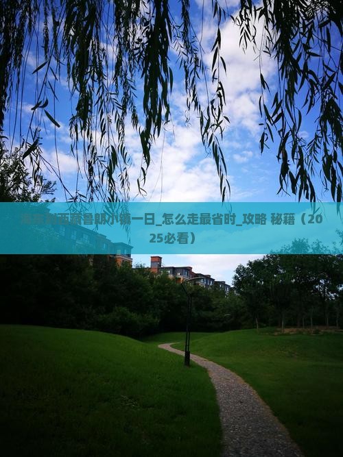 海东到西藏鲁朗小镇一日