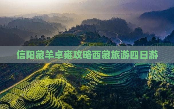 信阳去西藏羊卓雍措四日游