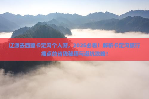 辽源去西藏卡定沟个人游