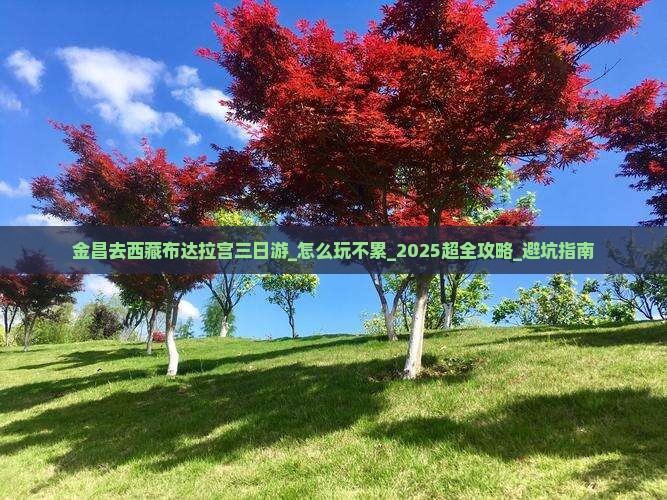 金昌去西藏布达拉宫三日游
