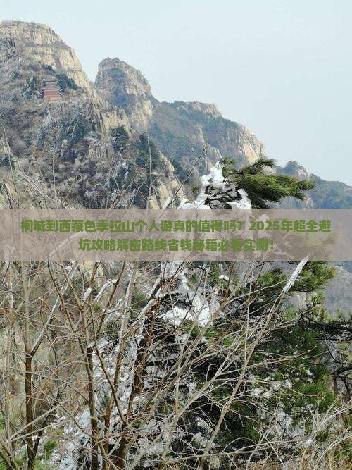 桐城到西藏色季拉山个人游