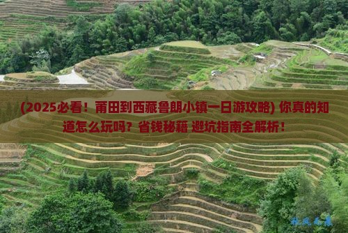 莆田到西藏鲁朗小镇一日