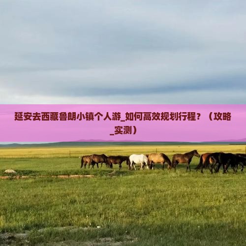 延安去西藏鲁朗小镇个人游