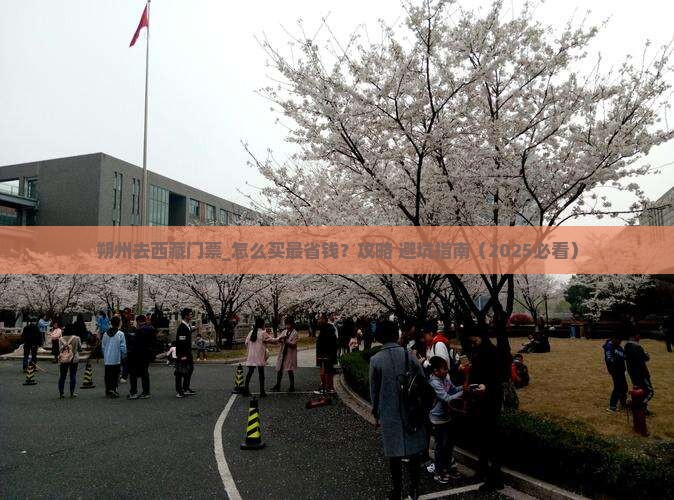 朔州去西藏门票
