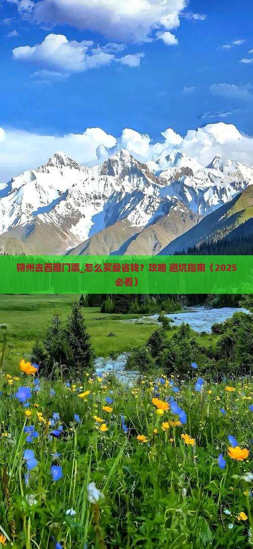 朔州去西藏门票