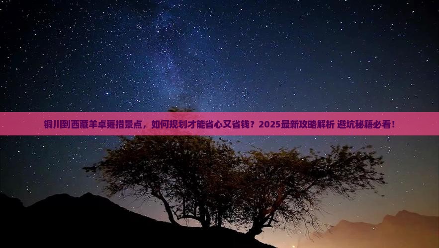 铜川到西藏羊卓雍措景点