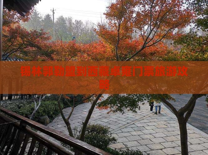 锡林郭勒盟到西藏羊卓雍措门票